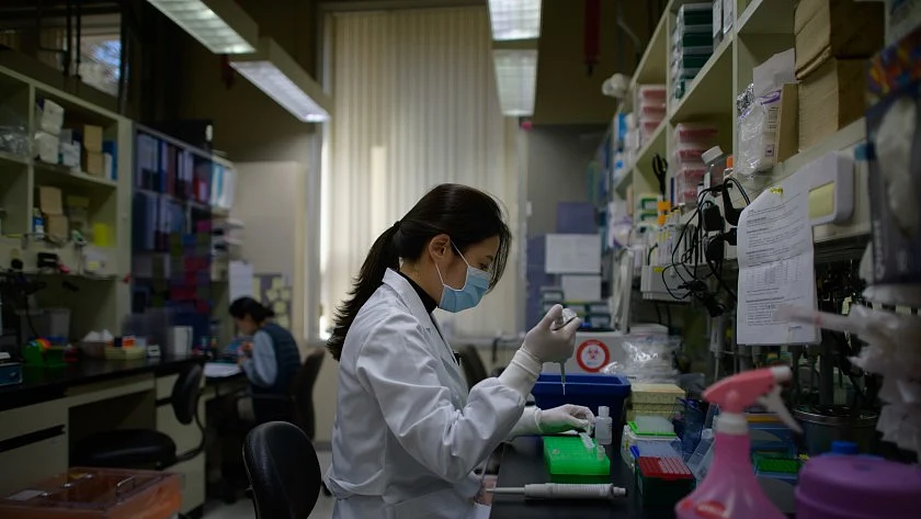 Look at South Korea for ‘visionary’ leadership in coping with Covid-19