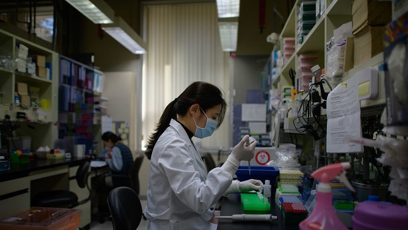 Look at South Korea for ‘visionary’ leadership in coping with Covid-19