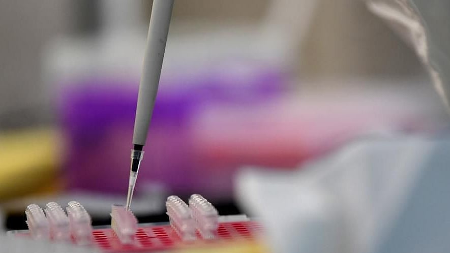 German, US companies to co-develop coronavirus vaccine