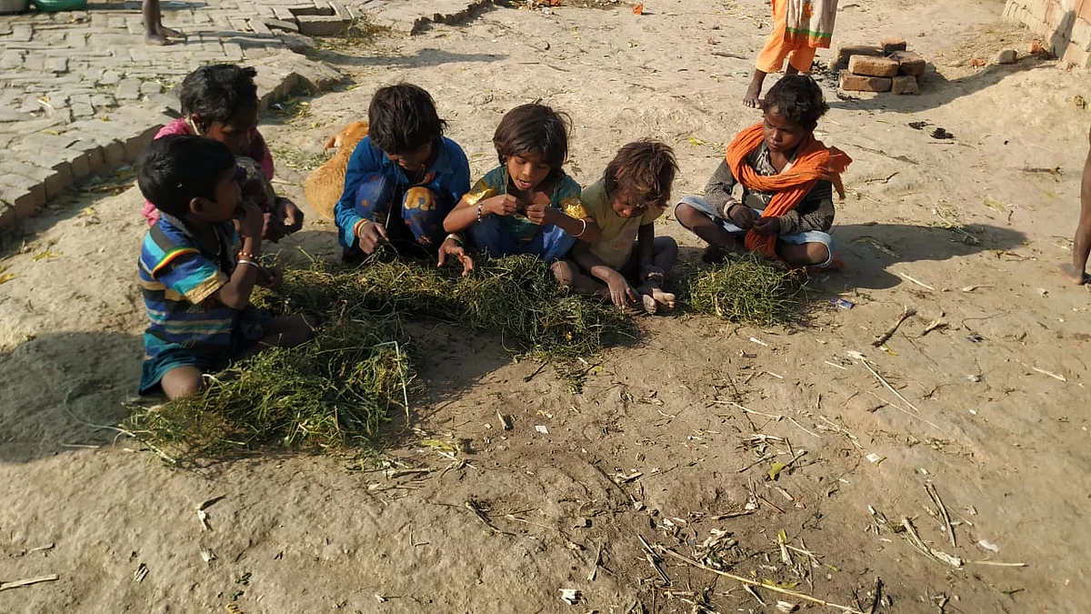 UP police book social activist who highlighted issue of Musahars eating grass after lockdown 