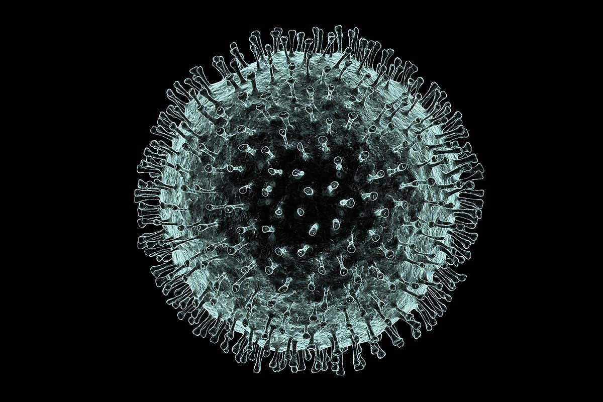 Anti-parasitic drug killed coronavirus within 48 hours in lab: Australian scientists