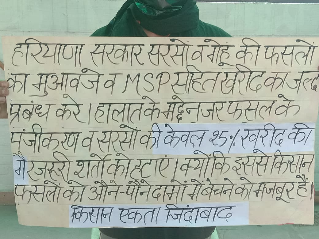 Farmers’ COVID-19 woes: Haryana Govt fails to muster courage to procure mustard oilseed
