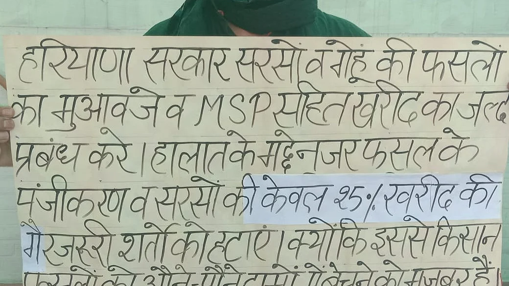 Farmers’ COVID-19 woes: Haryana Govt fails to muster courage to procure mustard oilseed
