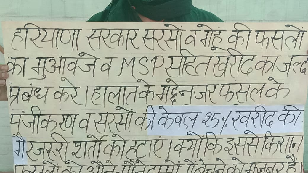 Farmers’ COVID-19 woes: Haryana Govt fails to muster courage to procure mustard oilseed