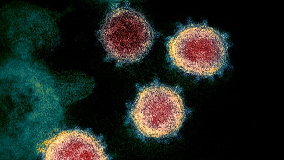 EU: Only use malaria drugs in COVID-19 emergency