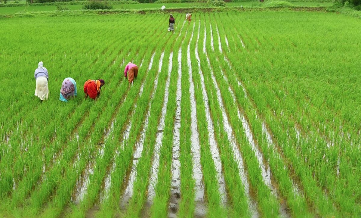 These economic activities to begin from Monday