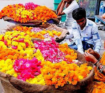 Jaipur flower traders face huge losses due to lockdown