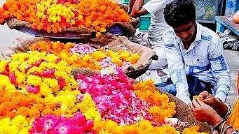 Jaipur flower traders face huge losses due to lockdown