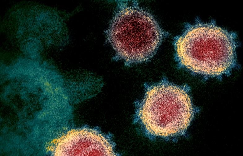 COVID-19 cases may peak in India by April end: ICS