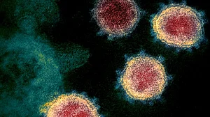 COVID-19 cases may peak in India by April end: ICS