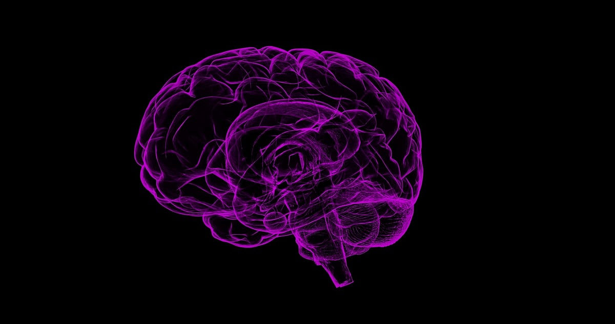 Can binge drinkers be tamed via switching off a brain receptor?