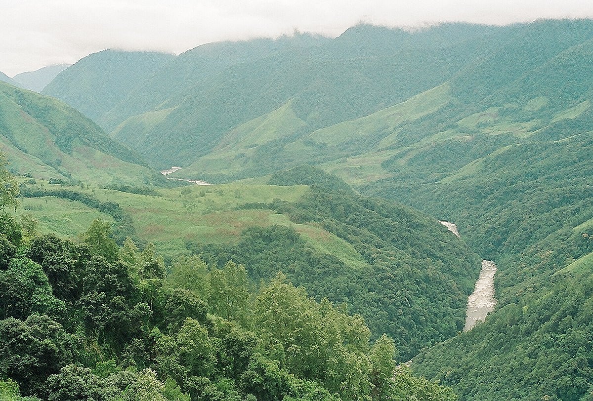 In the midst of COVID-19, forest ministry deliberates on controversial Etalin project in AP