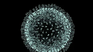 Penguin releases e-book on coronavirus’ evolution and myths