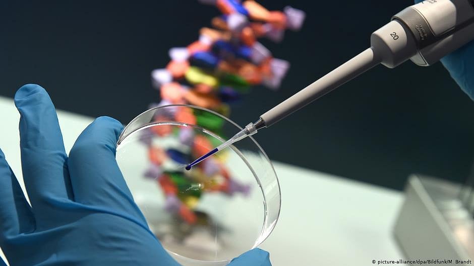 'Rare' genome proves Covid was made in Chinese lab: US experts