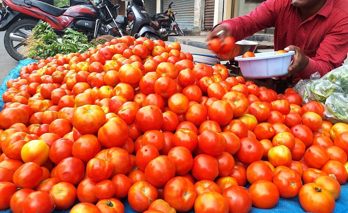 Tomatoes selling below Re 1 per kg in Delhi wholesale markets