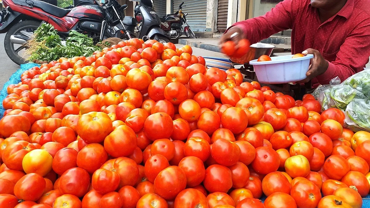 Tomato turns costly on tight supply; prices soar to Rs 72 per kg in metros