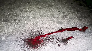Sadhu murdered inside ashram in Maharashtra