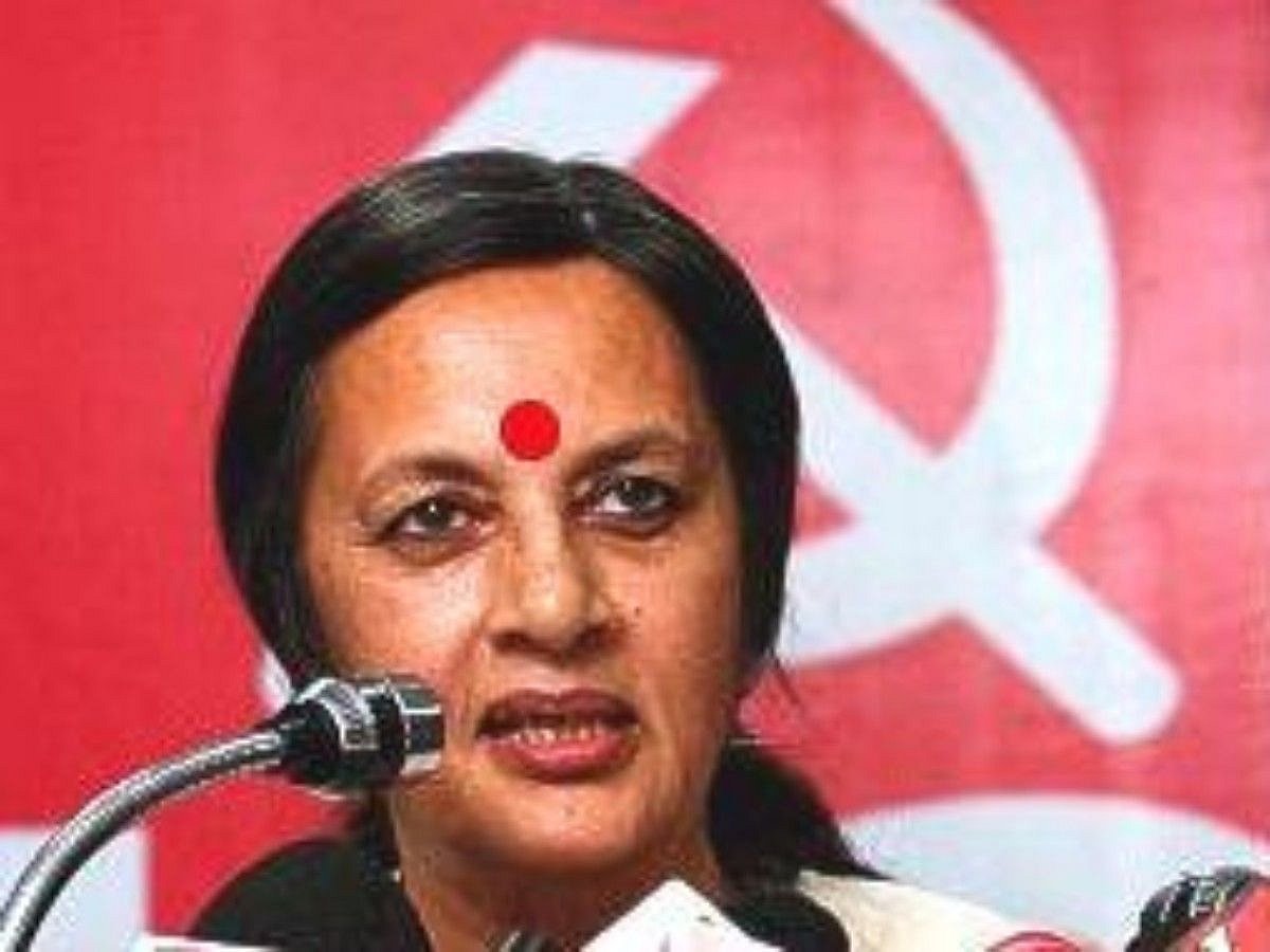 New Forest Act rules will help corporates gain control of India's forests: Brinda Karat
