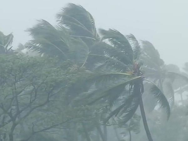 Heavy rain and strong winds in West Bengal (Photo Courtesy: Twitter)