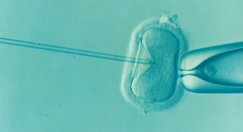Depression and anxiety: Leading causes of IVF failure in women