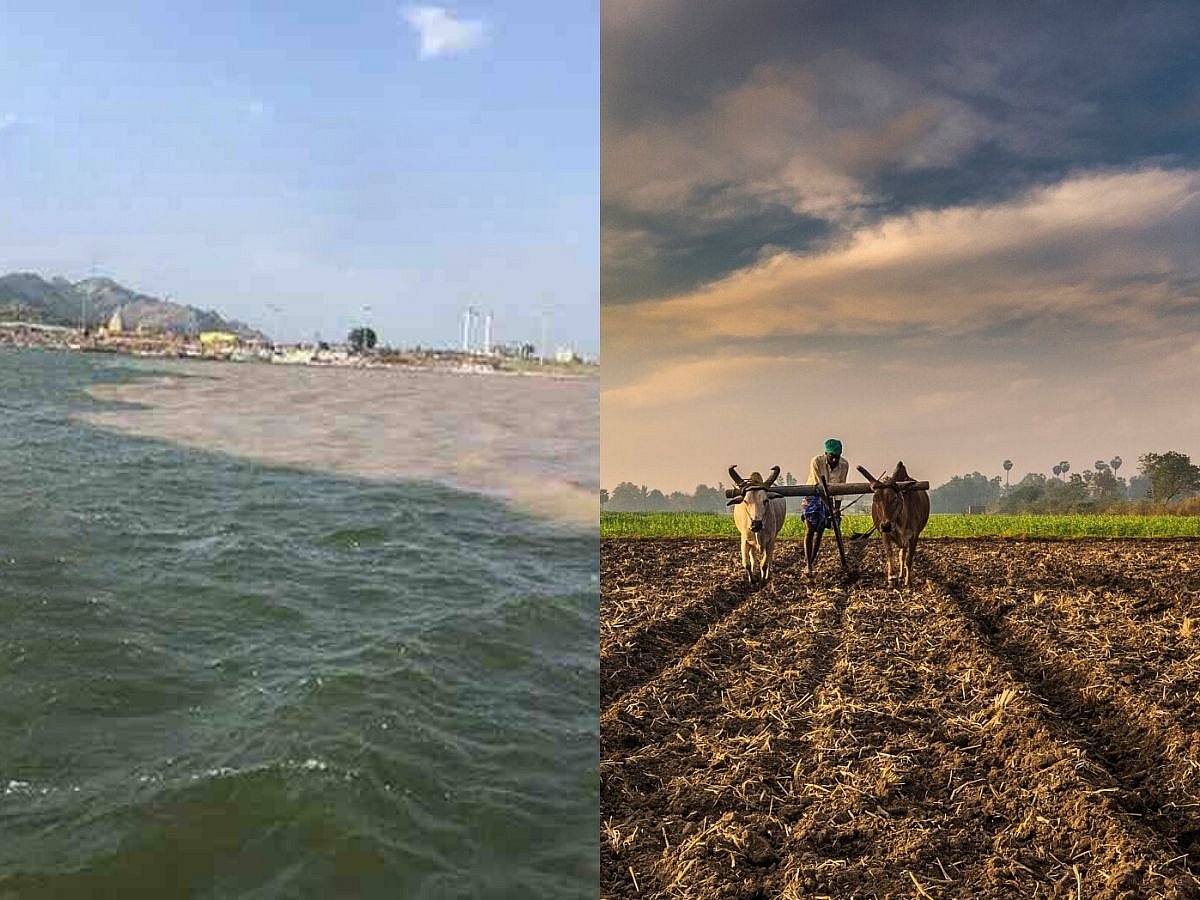 Nehru’s Will: let my ashes scatter over fields and mingle with the dust and soil of India