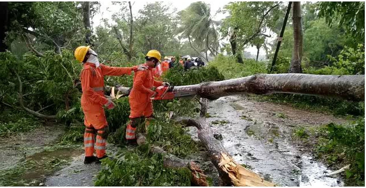 Trees uprooted during heavy storm in Puri, Odisha (Photo Courtesy: Twitter)