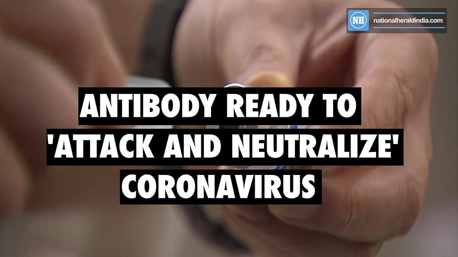 Antibody ready to ‘attack and neutralize’ coronavirus