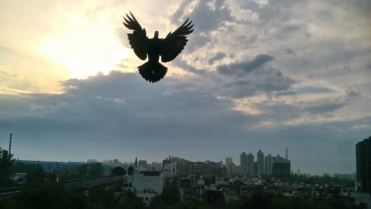 Lockdown Pastime: Photographing the sunrise every morning and being surprised every day