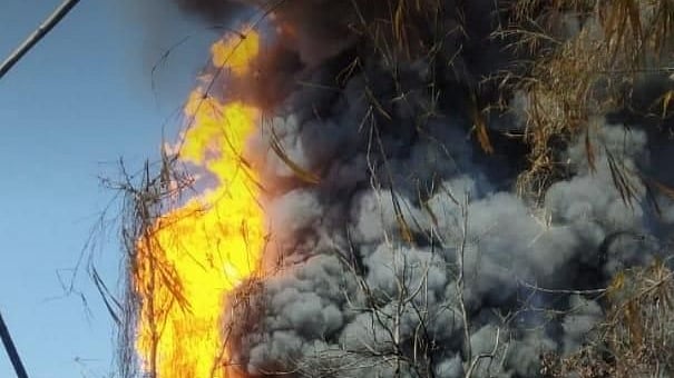 Massive fire in Assam’s gas-leaking well, 3,500 in relief camps; CM Sonowal talks to Defence Minister