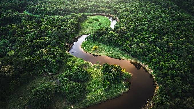 Amazon deforestation hits highest level in 5 years