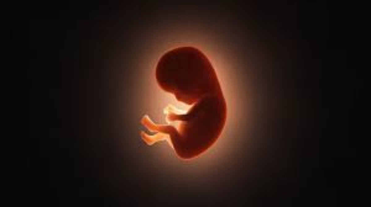 Activists welcome Delhi HC nod to woman to terminate 33-week pregnancy on medical grounds