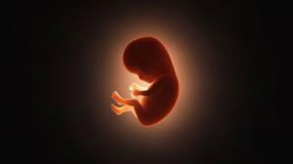 Activists welcome Delhi HC nod to woman to terminate 33-week pregnancy on medical grounds