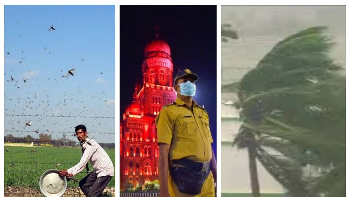 The connection between coronavirus, cyclones and the attack by locusts 