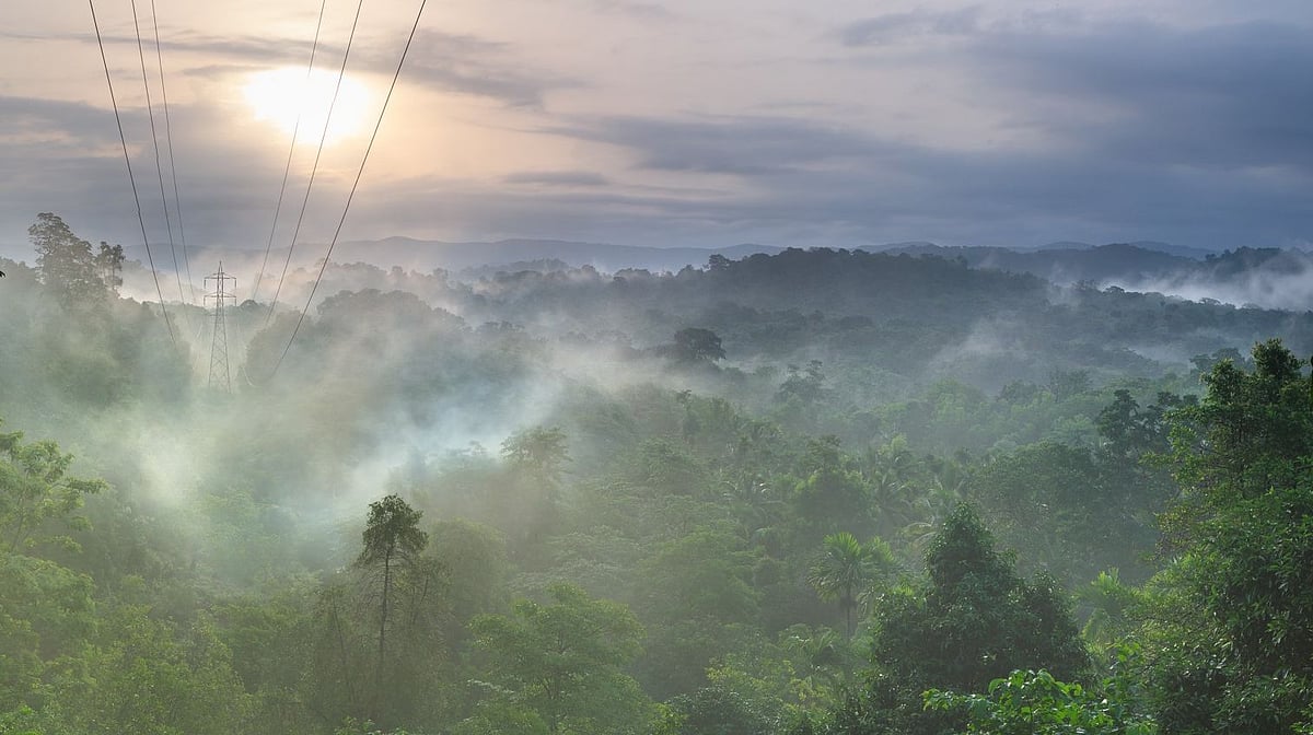 Plea in Supreme Court seeks to protect Western Ghats as a whole; court issues notice