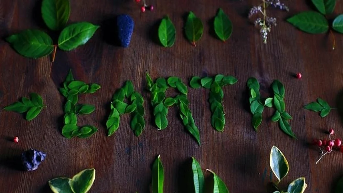 7 simple habits to make this planet a greener place