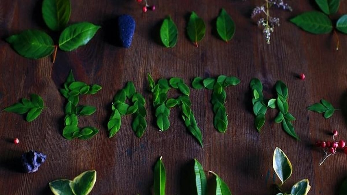 7 simple habits to make this planet a greener place