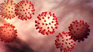 NIT Jalandhar develops apparatus to kill coronavirus