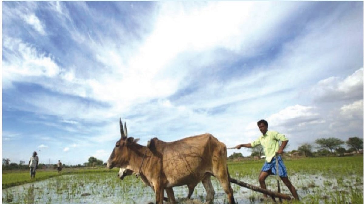 The lucky few: Tales from rural India