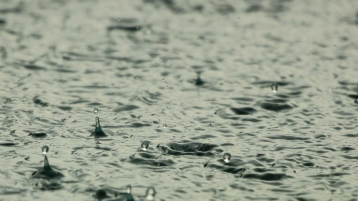 Representative Image (Photo Courtesy: IANS)