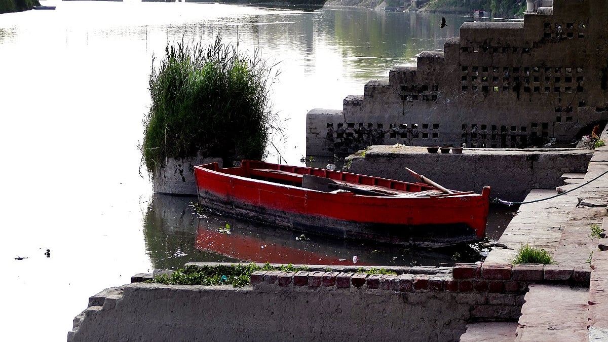 Unwanted grass at Yamuna (Photo by Pramod Pushkarna)&nbsp;