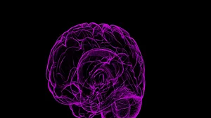 COVID-19 can cause delirium, brain inflammation: Study