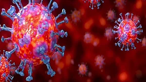 People with blood type O may have a lower risk of COVID-19: Study