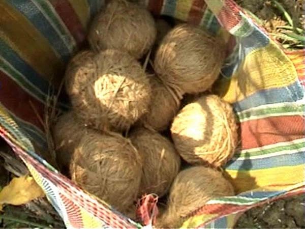 Seven bombs found in Bikru village in police search