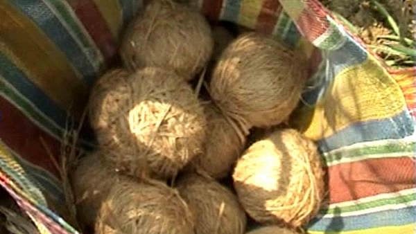 Seven bombs found in Bikru village in police search