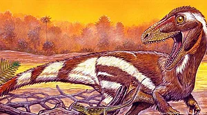 Rare dinosaur 'egg-in-egg' found by DU researchers in MP