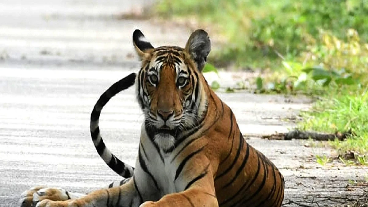 Photo Courtesy: IANS