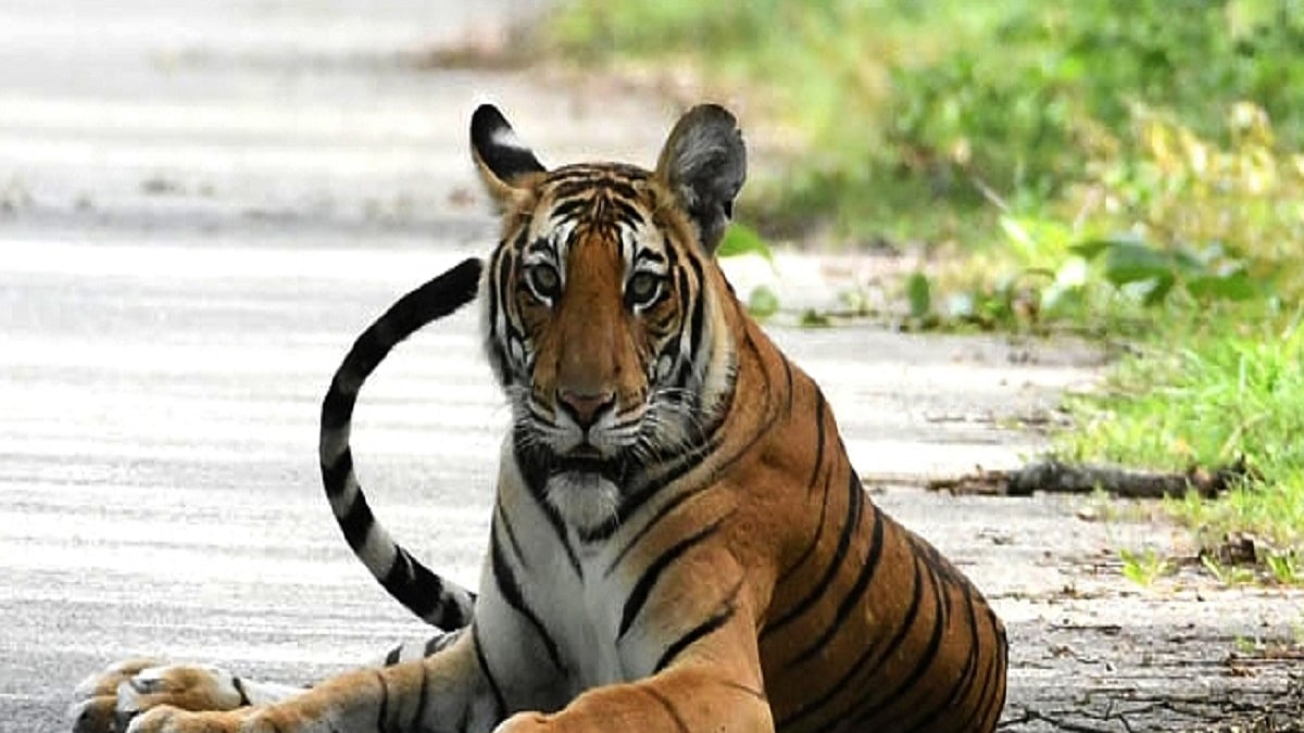 Photo Courtesy: IANS