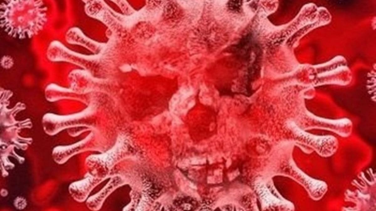 Almost identical protein found in COVID-19, SARS: Researchers