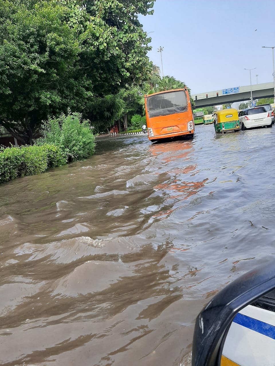 How rain turned Delhi houses into swimming pools