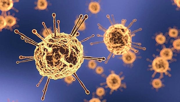 Dashboard to help Commonwealth nations tackle coronavirus